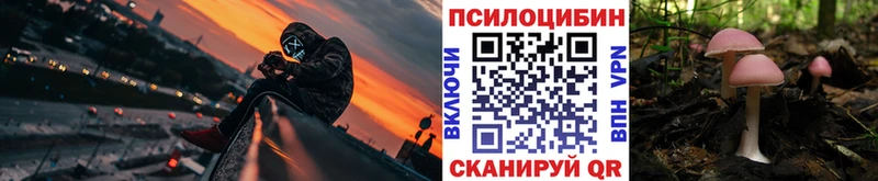 Галлюциногенные грибы Psilocybe хочу наркоту Злынка