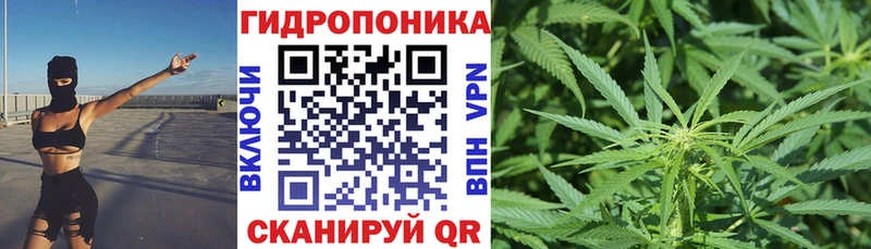 Канабис план  Злынка 
